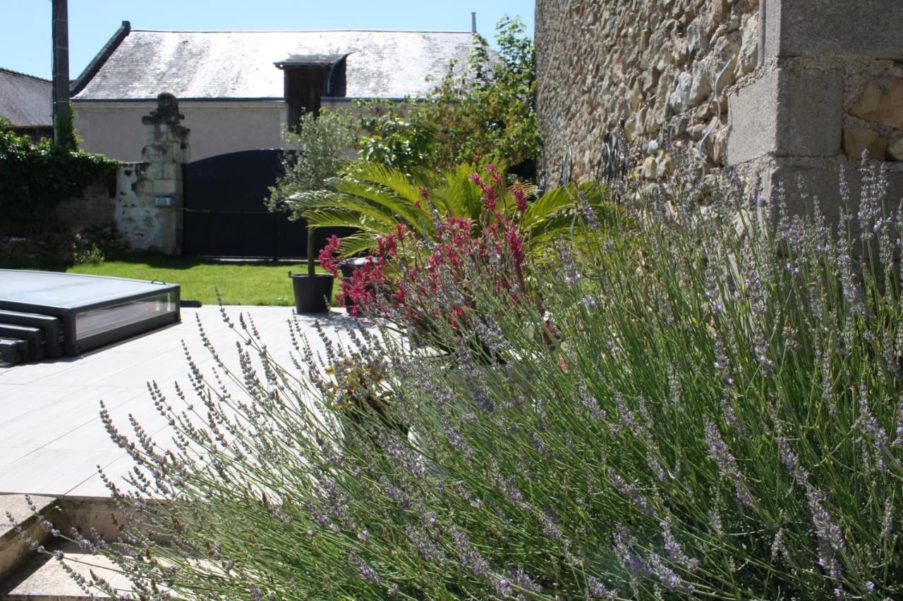 La Douce France Trianon Villa Chinon Eksteriør billede